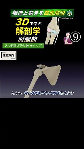Movement of the humeral radial joint [Complete understanding in 3D] The elbow joint is actually m...