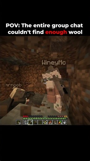 POV: When the Entire Group Chat Can't Find Enough Wool.. #minecraft