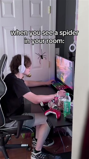 Why Are Spiders So Terrifying? Insights and Reactions