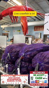 3 comments | Today’s (4/15/25) current market price for live...