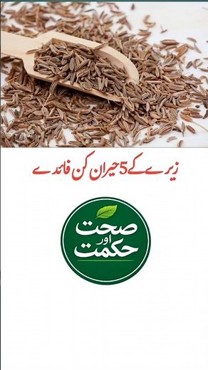 Amazing Benefits of Cumin Seeds You Didn’t Know | Health Secrets