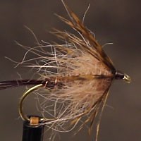Tying a Soft Hackle Mayfly Emerger | MidCurrent
