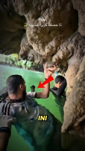 They Thought It Was a Branch, But It Was a Cobra 😱 #shorts #creepy #viralvideo