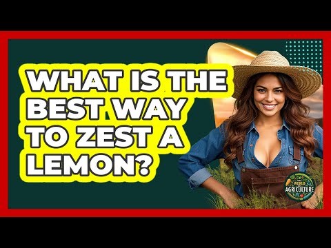 What Is The Best Way To Zest A Lemon?