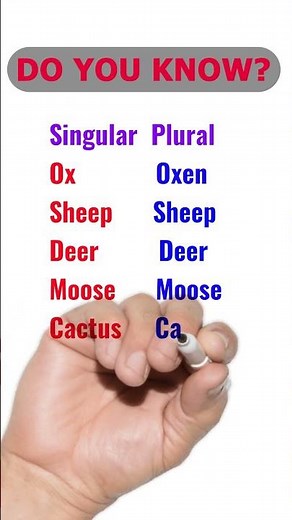 Singular-Plural I Sheep -Sheeps or Sheep