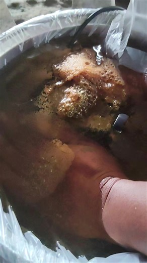 Quick 30-Minute Cell Detox Guide