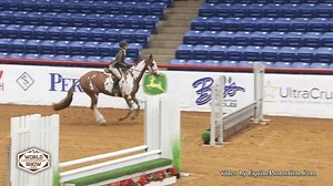 49K views · 443 reactions | With the 2024 APHA World Championship...