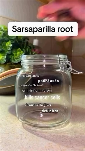 🔥 Boost Your Iron Levels Naturally! 🔥 Struggling with low iron or anemia? Jamaican Sarsaparilla Root is packed with plant-based iron to help increase oxygen flow, energy levels, and overall wellness! Say goodbye to fatigue and hello to vitality! Comment “IRON” for a direct link with free shipping. #ironboost #sarsaparilla #plantbasedhealing #energybooster #holistichealth #naturalremedies | Meelah Moss