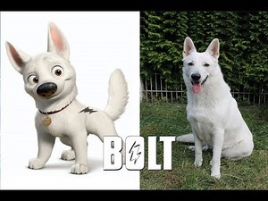 Bolt In Real Life - All Characters 2018 - OMG Kids