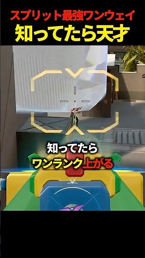 【最強】知ってたら天才なスプリットサイファーワンウェイケージセットアップ【VALORANT / ヴァロラント】【Vtuber】