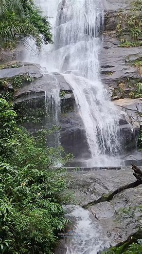 Rio's Hidden Jungle Paradise 🌿 | Tijuca Forest Waterfall #shorts