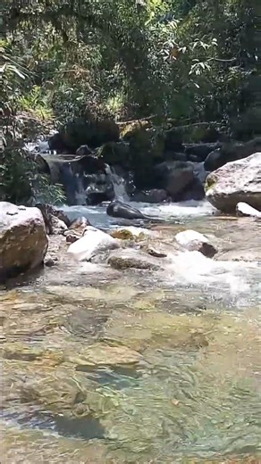 #short #shorts #jesus #amen #cristo #jesuscristo