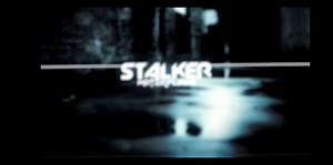 【Remix】Stalker X Move like jagger