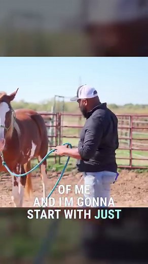 Horse training doesn't have to be all about force and intimidation. Try a different approach to connect with your horse and build a bond that lasts. Desensitizing your horse to scary objects or situations can be a great way to gain their trust and teach them to rely on you for guidance. By taking your time and waiting for your horse to make decisions on their own, you'll build a bond of trust and respect that will benefit you both in the long run. Try this approach and see the difference it can 