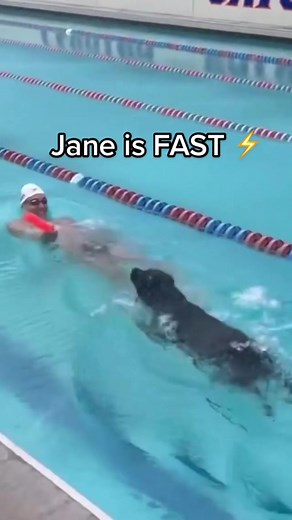 Caeleb Dressel’s dog Jane is FAST ⚡️ #TokyoOlympics #swimming #dog #caelebdressel #speed (📸 IG/caelebdressel)