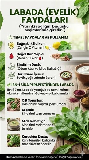 Doğal Kan Yapıcı ve Bağışıklık Kalkanı: Labada Otunun Mucizevi Faydaları