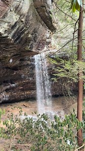 A snowy day in Tennessee today! We visited Colditz Cove SNA to see Northrup Falls 😍🥶 #Tennessee #outdoors #hike #travel #Hiking #traveling #waterfall #tennesseelife | Kayaking Adventures Of Tennessee