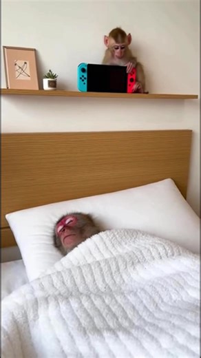 He broke the Nintendo switch