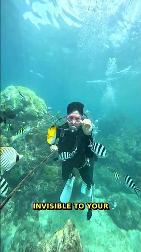 50% Earth's Oxygen From ONE Drop? | Tiny Ecosystems Secret