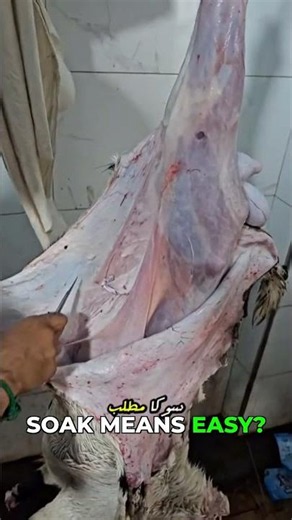 Super Easy Work: You Won't Believe It! #viral #shorts #bakraeid