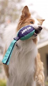 Does your dog have a constant pep in their step? Always ready to go-go-go? 🐶 We get it! For those of you who embrace the fun and adventure with your endlessly energetic pups, you know play is more than just a game. That’s why we created the Go Get range – highly visible, durable, all-terrain toys designed to keep up with dogs who never slow down. Ready for your next adventure? Shop in-store or online, only at Petstock! 🛒 #PetstockNZ #TheStoreWithMore | Petstock