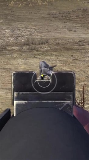 Hunting Fails: Missing Every Shot on Deer