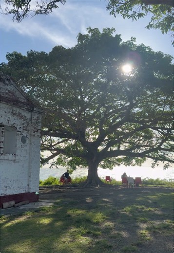 Green Bones Movie Shooting in Calatagan