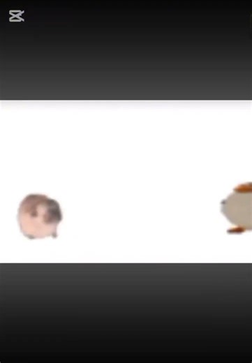 Saying hi to Mr beast 🤑