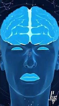 La coprofilia es una parafilia caracterizada por la obtención