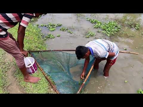 traditional village fishing in asia