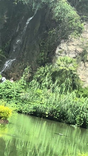 Japanese tea garden