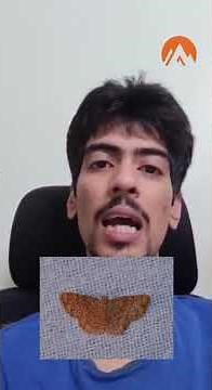 Why Butterflies and Moths Matter: Pollinators, Bioindicators & Moth Week Activity Guide