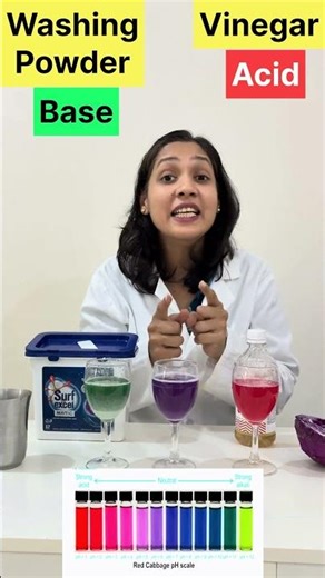 Identify Acid or Base? | Science Experiment