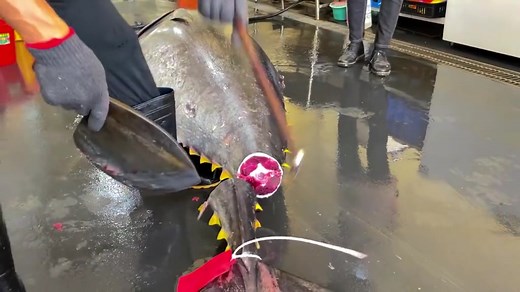 Chinese Fish Market $10000 Fish Cutting