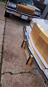 ⚫️⚪️🧀🏆 2 clean box chevys🫡 #spokesnvogues | SPOKES-N-VOGUES