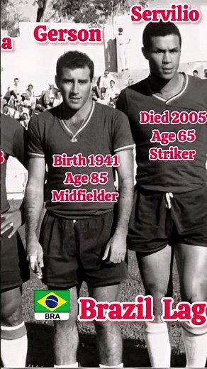 Brazil Legends 1965 🇧🇷 | Pelé, Garrincha & Samba Magic