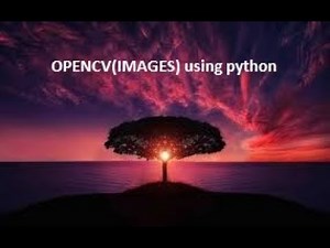 how to convert the images into gray scale using python(opencv)