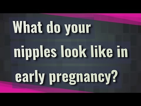 What do your nipples look like in early pregnancy?