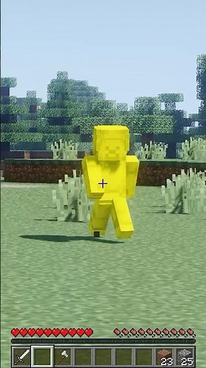 I am Steve 9