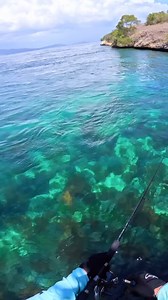 What happened | Cavy Fishing