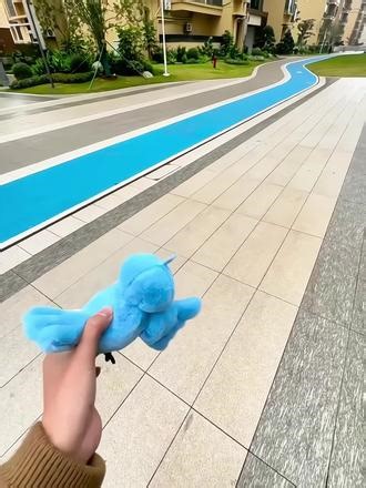 可我觉得很神圣啊#鸟都不鸟你 #萌物 #很神圣的感觉 #抽象 #玩个很新的东西