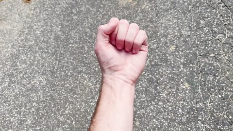 What really happens when a tarantula bites a human