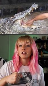 9.8K views · 68 reactions | How could you protect yourself against a crocodile attack?  #HowToSurvive #Survival #SurvivalTips #Crocodile #Wildlife | How to Survive Show | Facebook