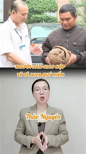 People hand over rare Java pangolin