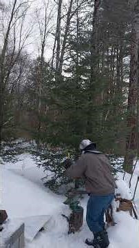 Working on a side project... part 2