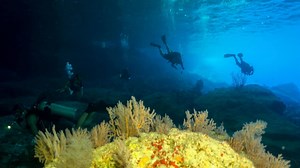 Check out that visibility 😲 | Christmas Island Tourism
