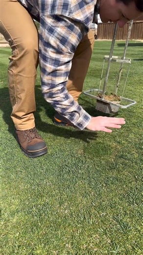 On my feet all day with PRO Anti-Fatigue Technology and still feeling great! #TimberlandPROPartner #Ad | The Celestial Codex