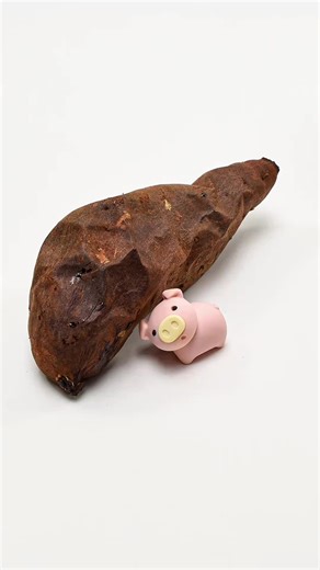 Adorable Piglet Enjoys Sweet Potatoes