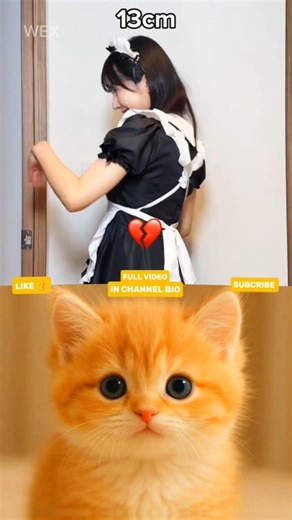 #trollface #strangerthings5 #usa