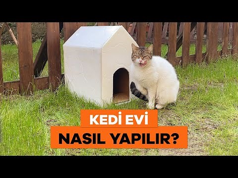 Karton Kutudan Kedi Evi Nasıl Yapılır? - Pratik Kedi Evi Yapımı 🐱